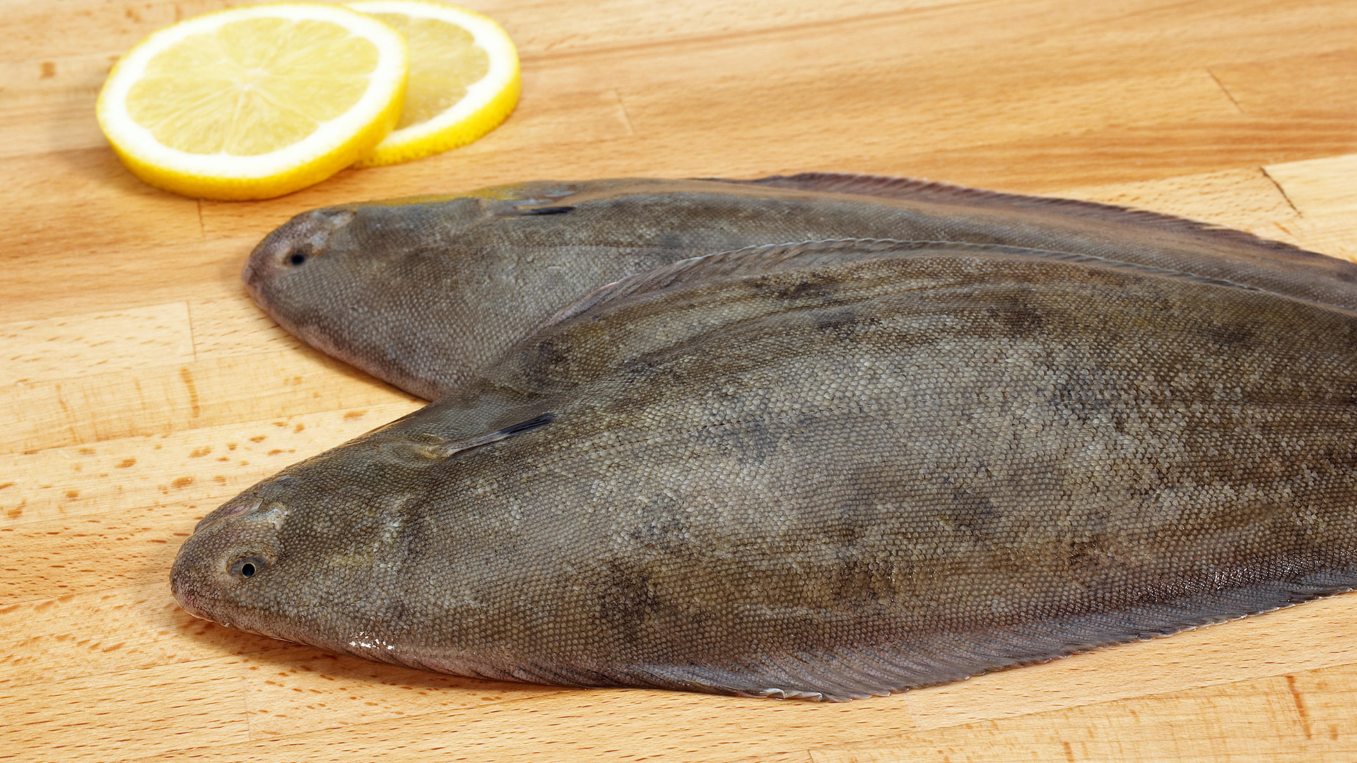 alaskan sole