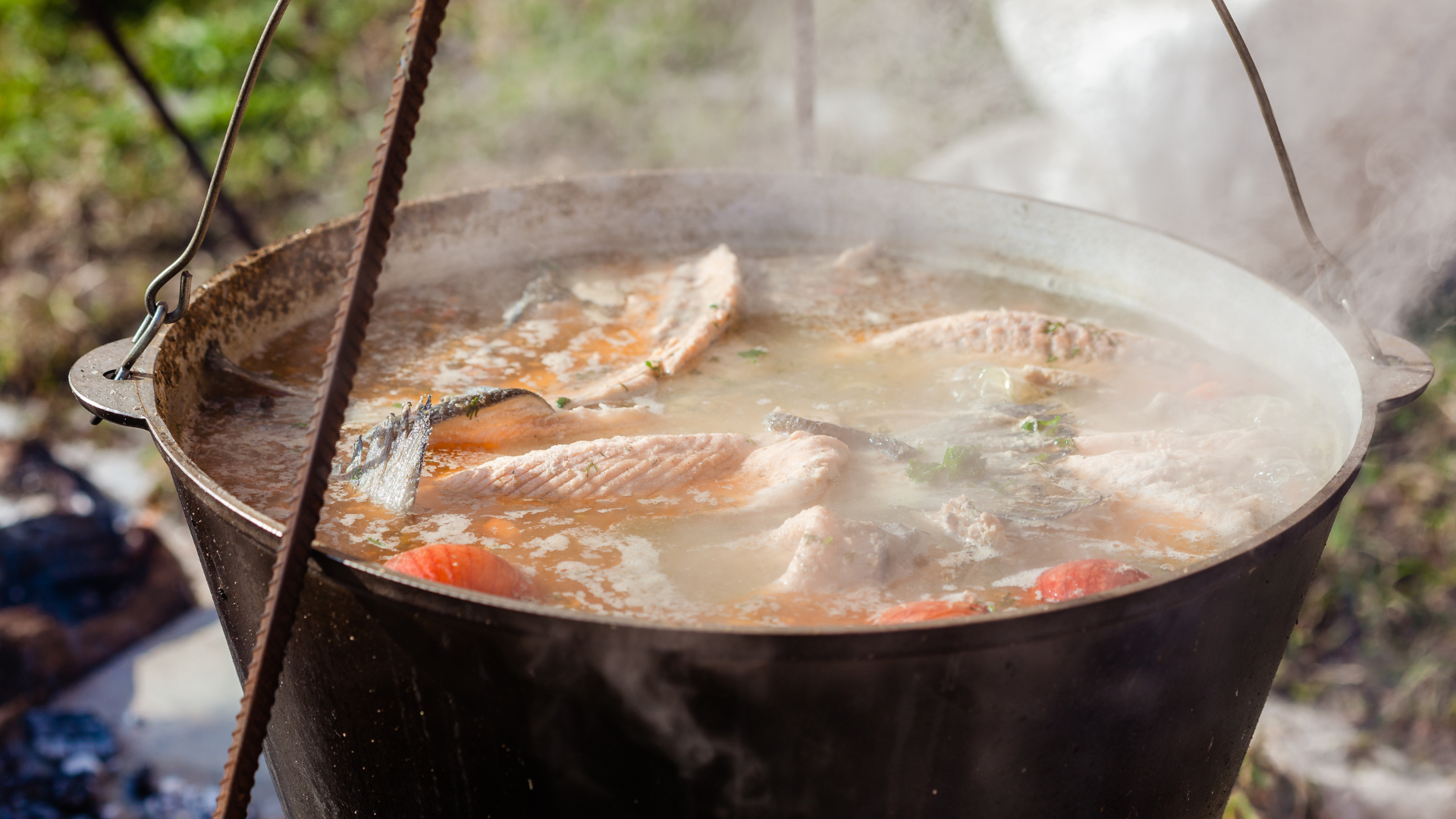 cooked fish