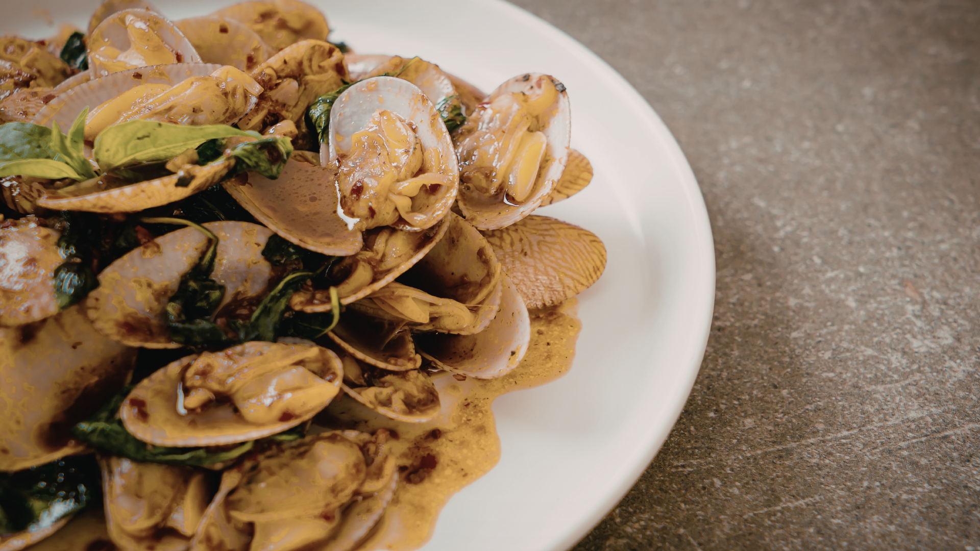 Manila Clam