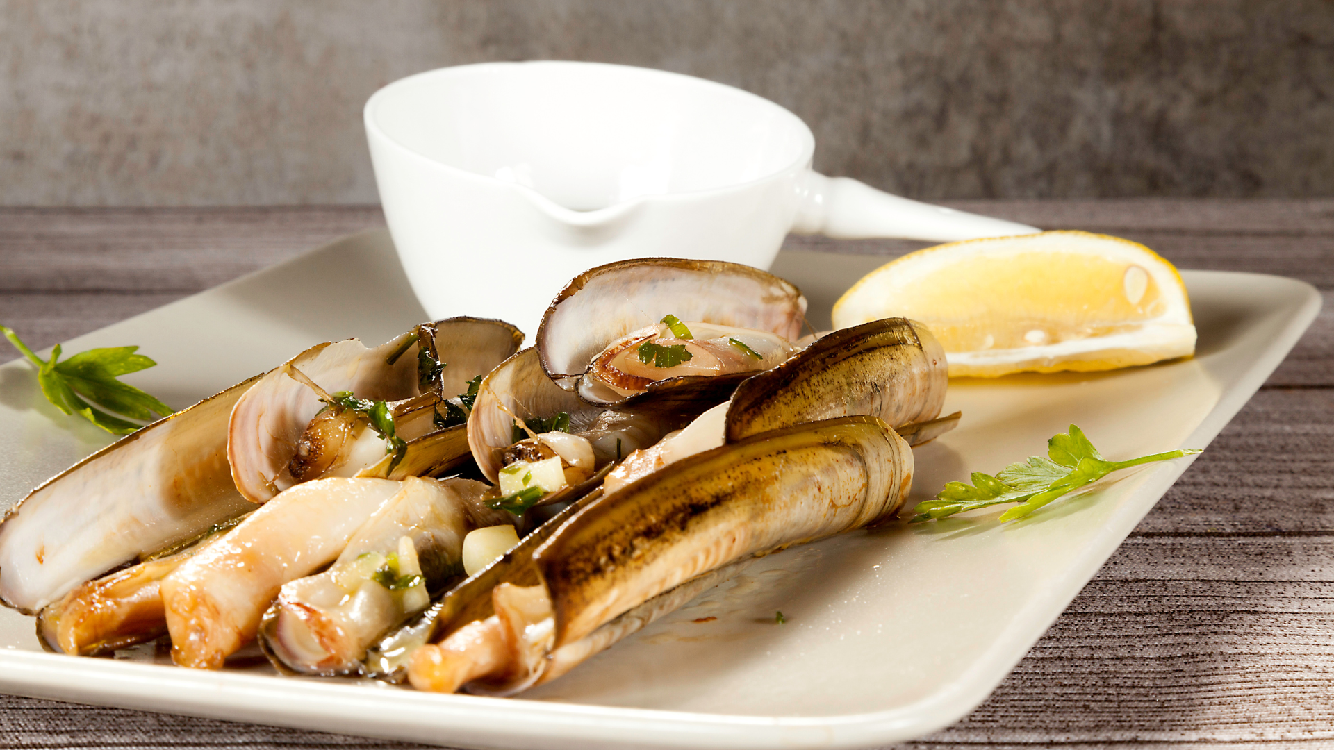 Western Razor Clam