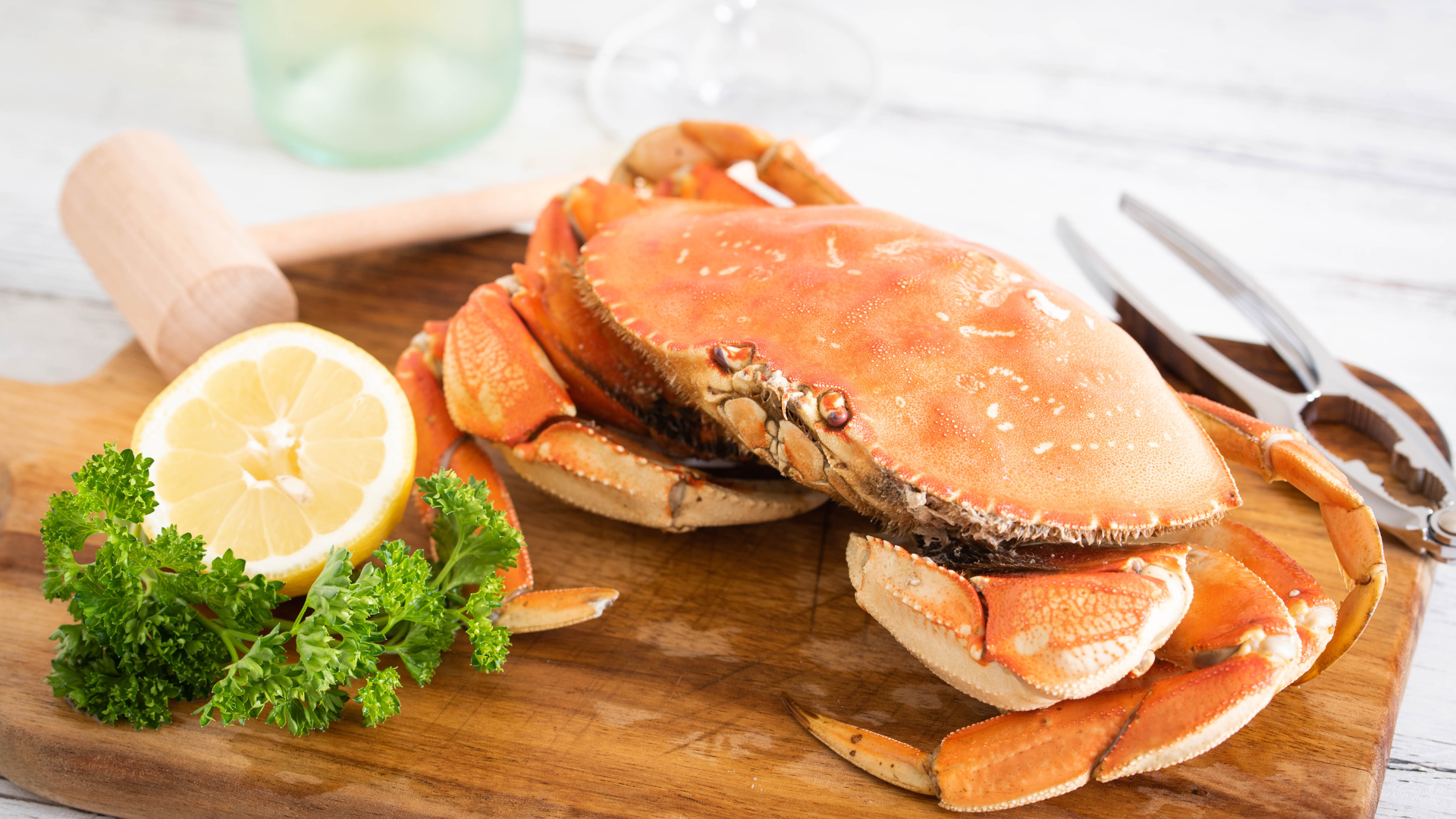 Dungeness Crab