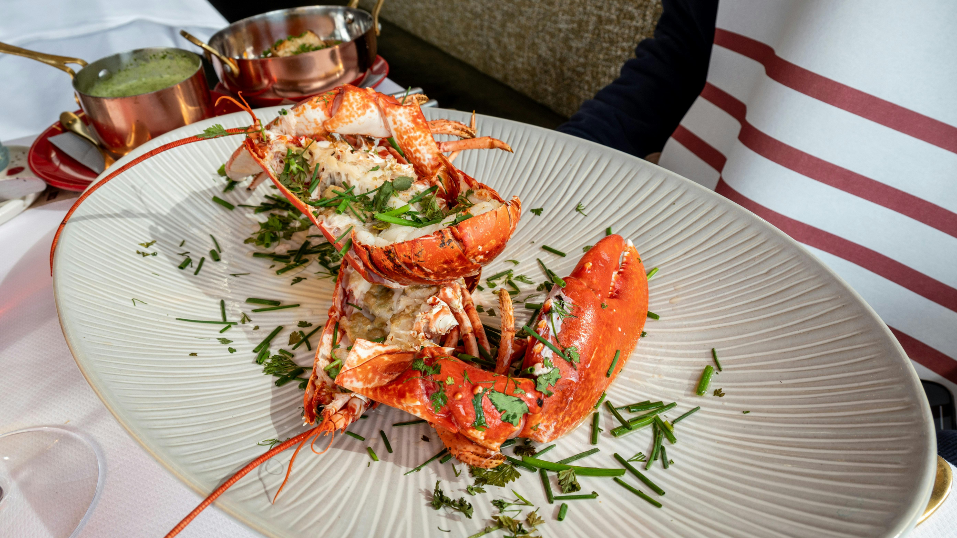 Spiny Lobster