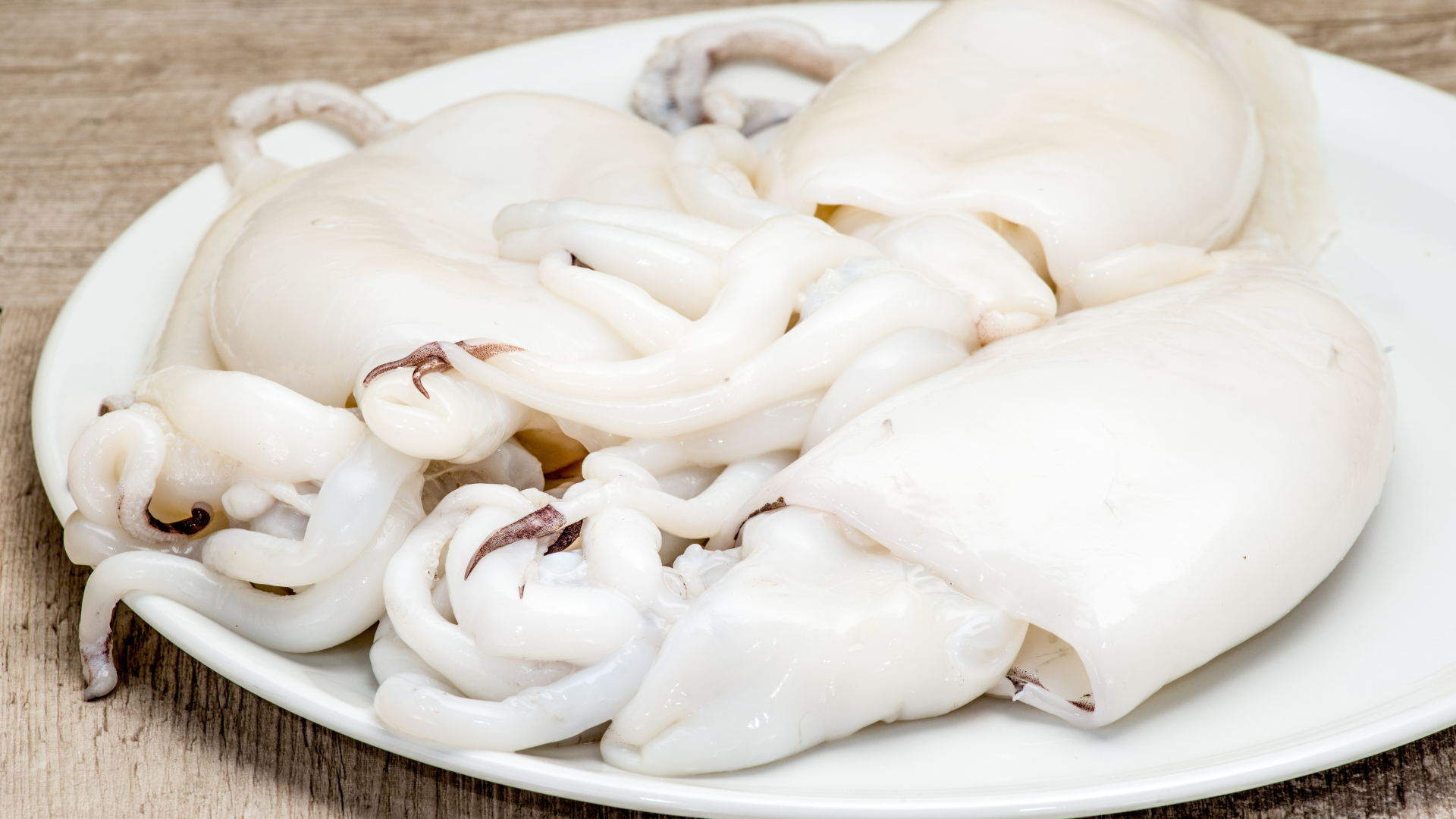 Cuttlefish