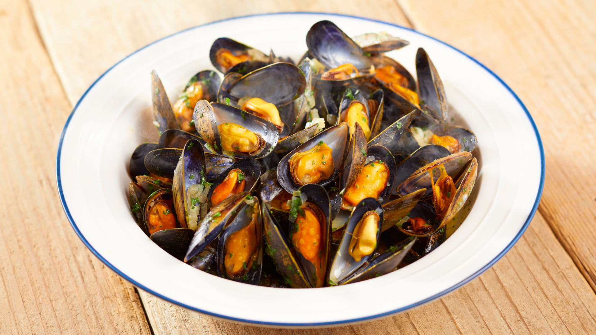 Blue Mussel