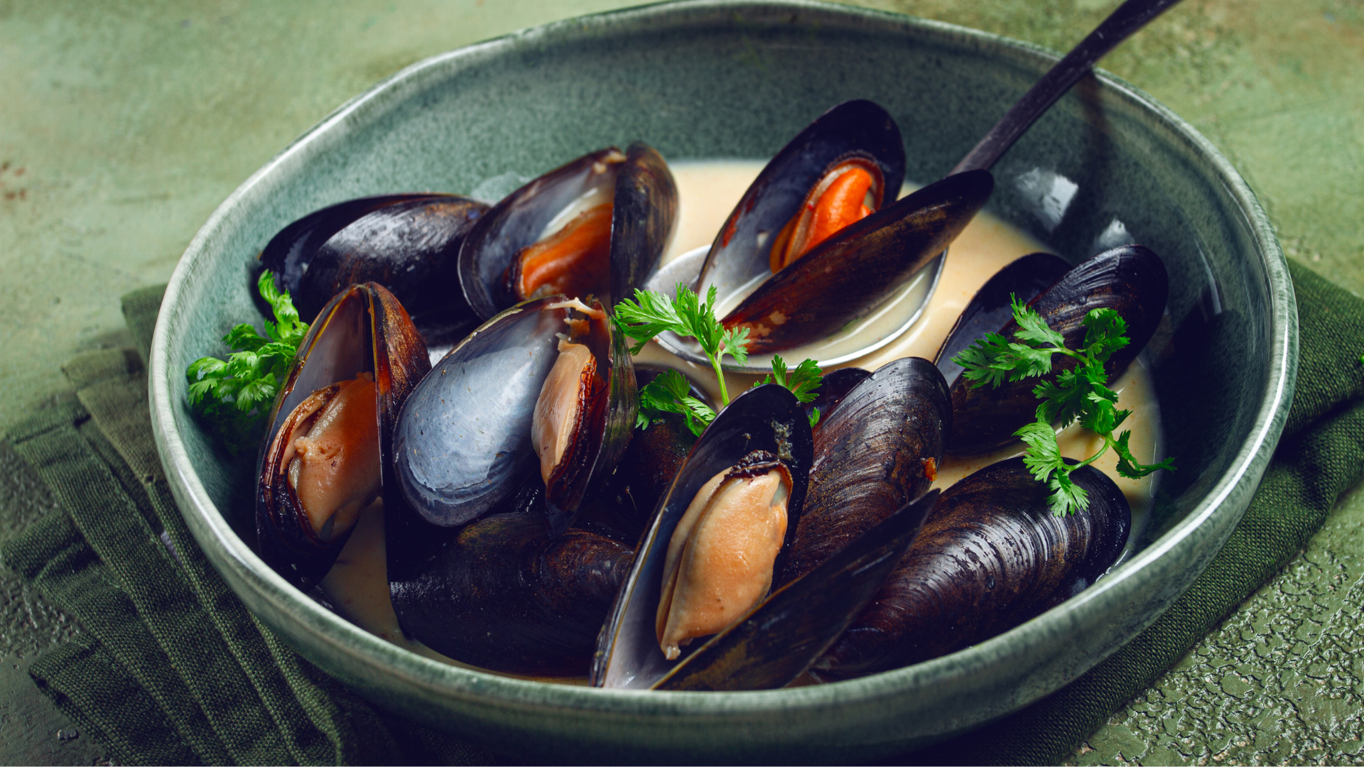 Mediterranean Mussel
