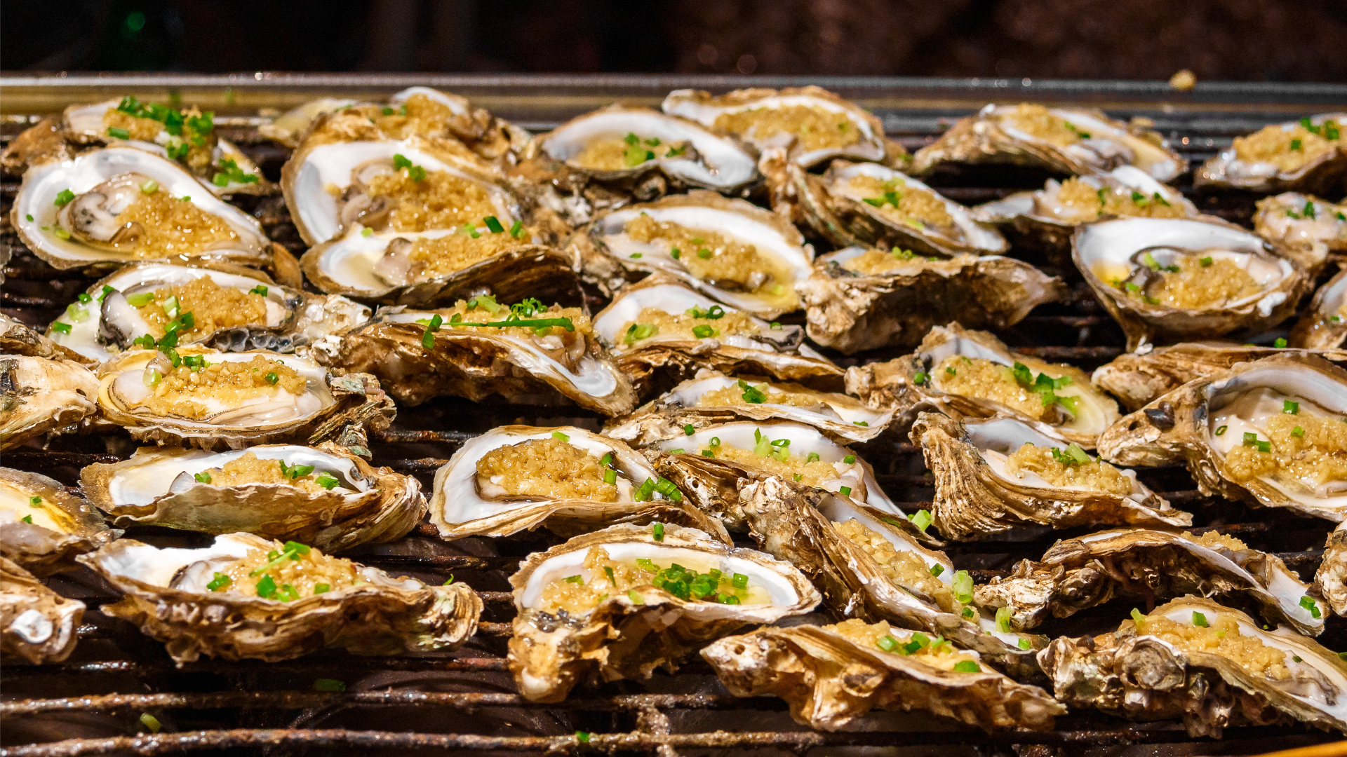 Kumamoto Oyster