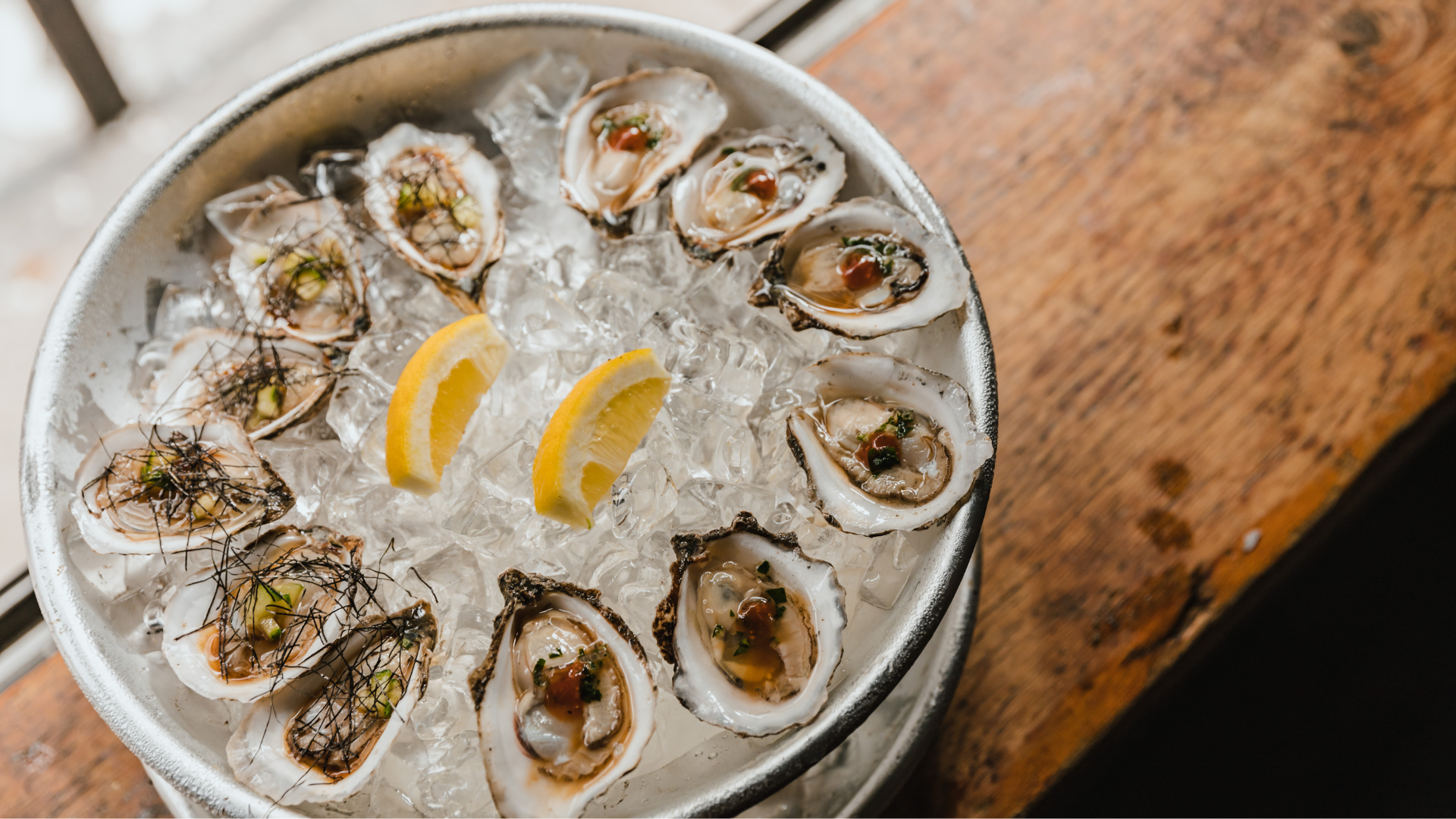 Olympia Oyster