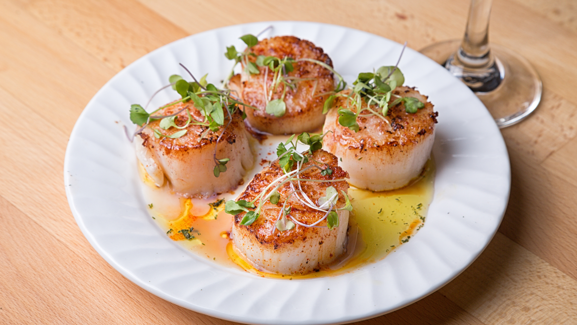 Sea Scallop