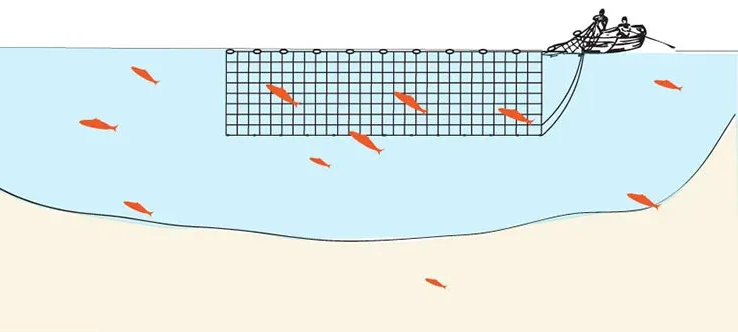 River Gillnetting
