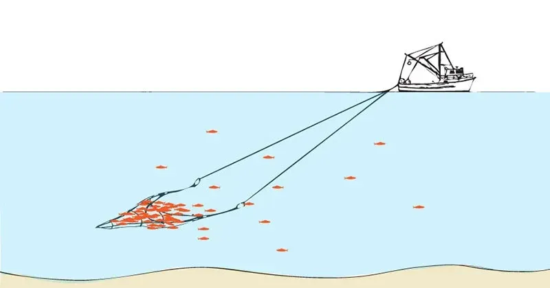 Midwater Trawling