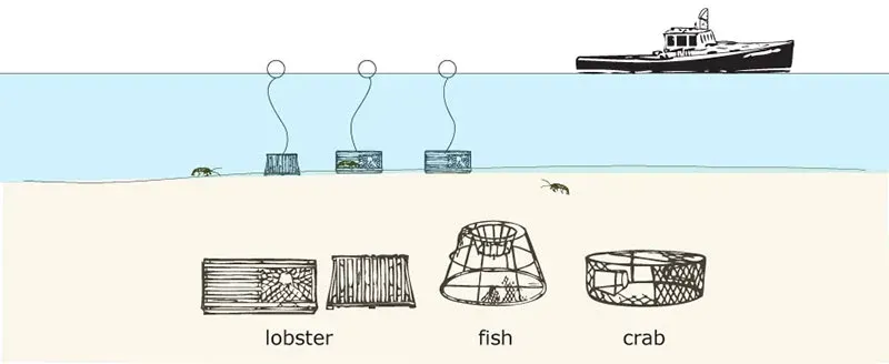 Traps and Pots