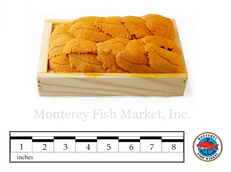 Sea Urchin Roe