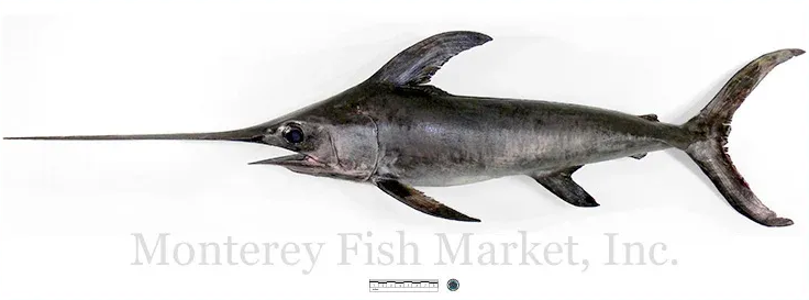 swordfish