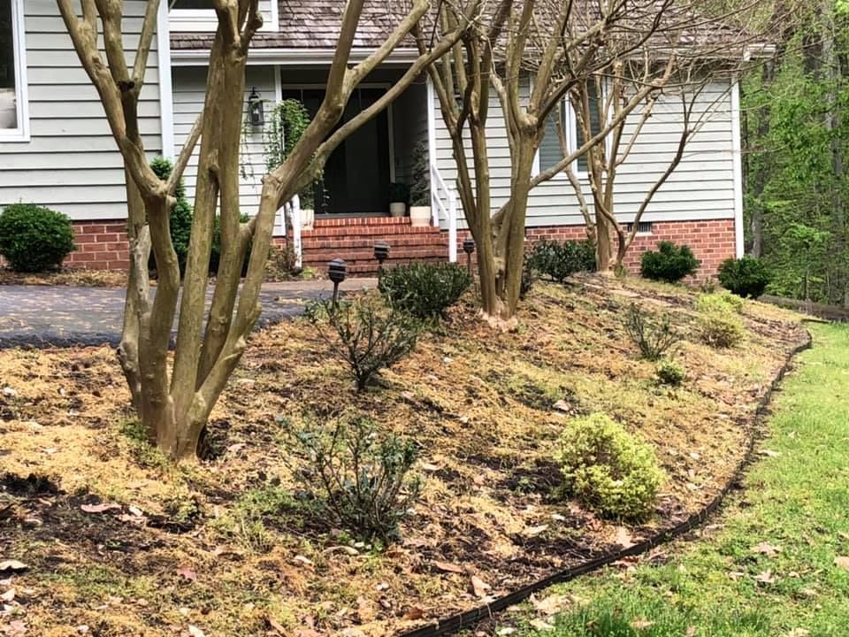A house with a lot of trees in front of it.