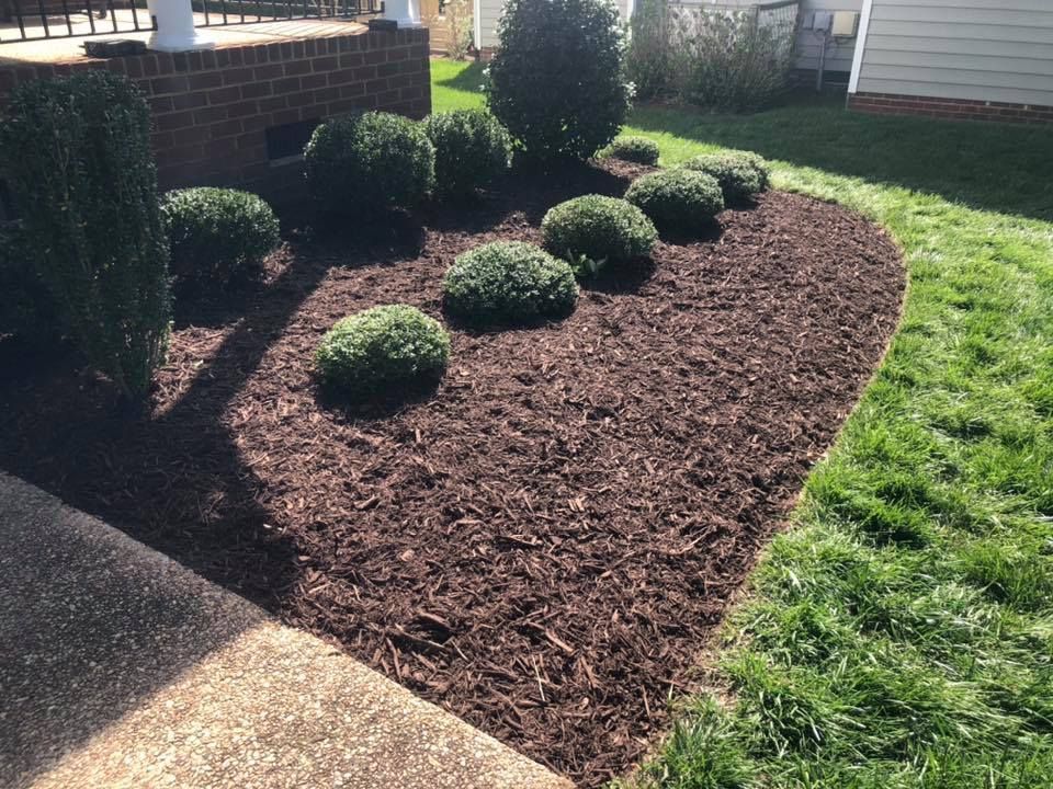 A lawn with a lot of mulch and bushes in it