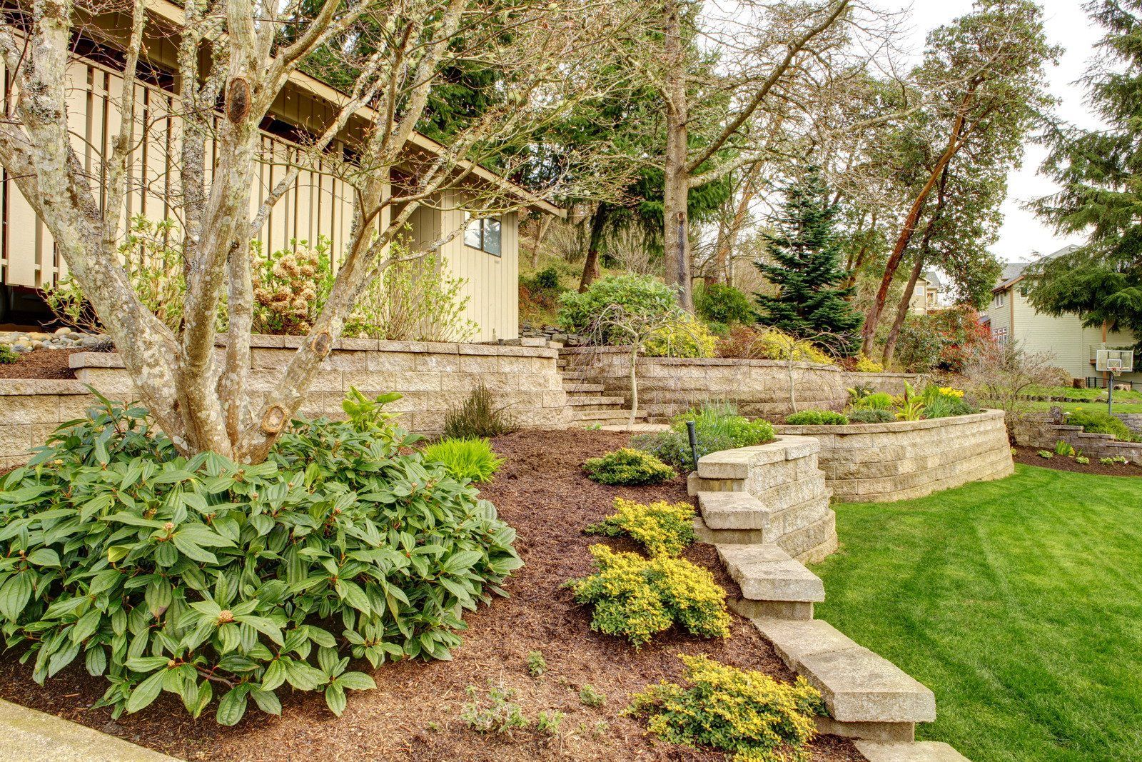 A lush green yard with a stone wall and stairs leading up to a house.