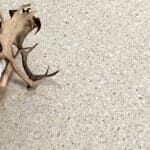 Brown deer antlers on a light speckled surface
