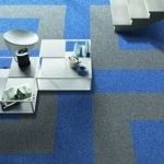 White trays and cups arranged on a blue carpet in a minimalist seating area.