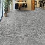 Indoor shopping corridor with gray carpet, store displays, and potted plants along the sides