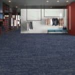 Empty retail store interior with blue carpet, white display wall, and clothing racks