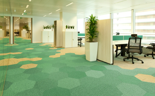 Modern office interior with green carpet, white desks, and glass-walled workspaces