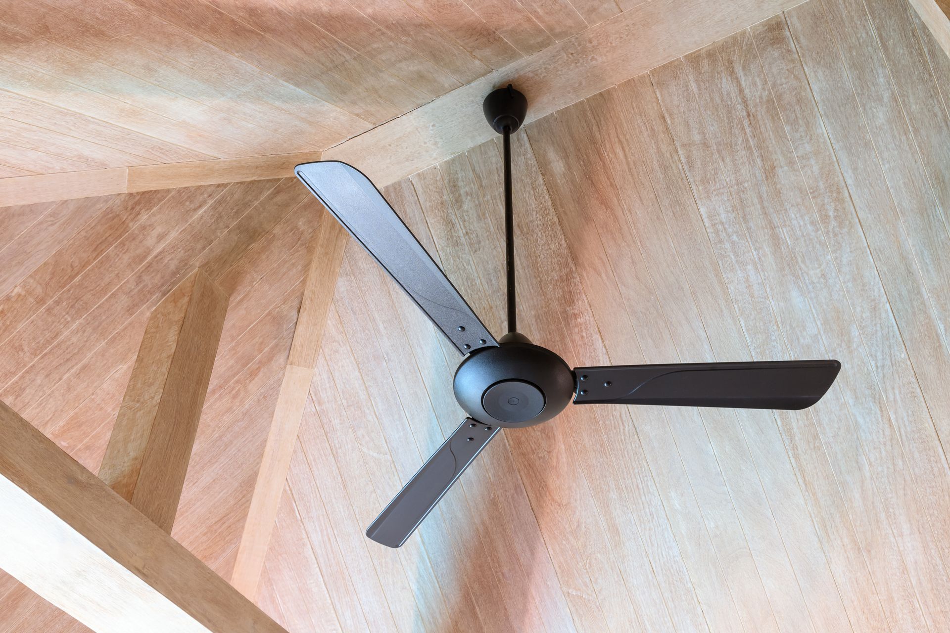 Ceiling fan with three blades mounted on a wood-paneled ceiling.