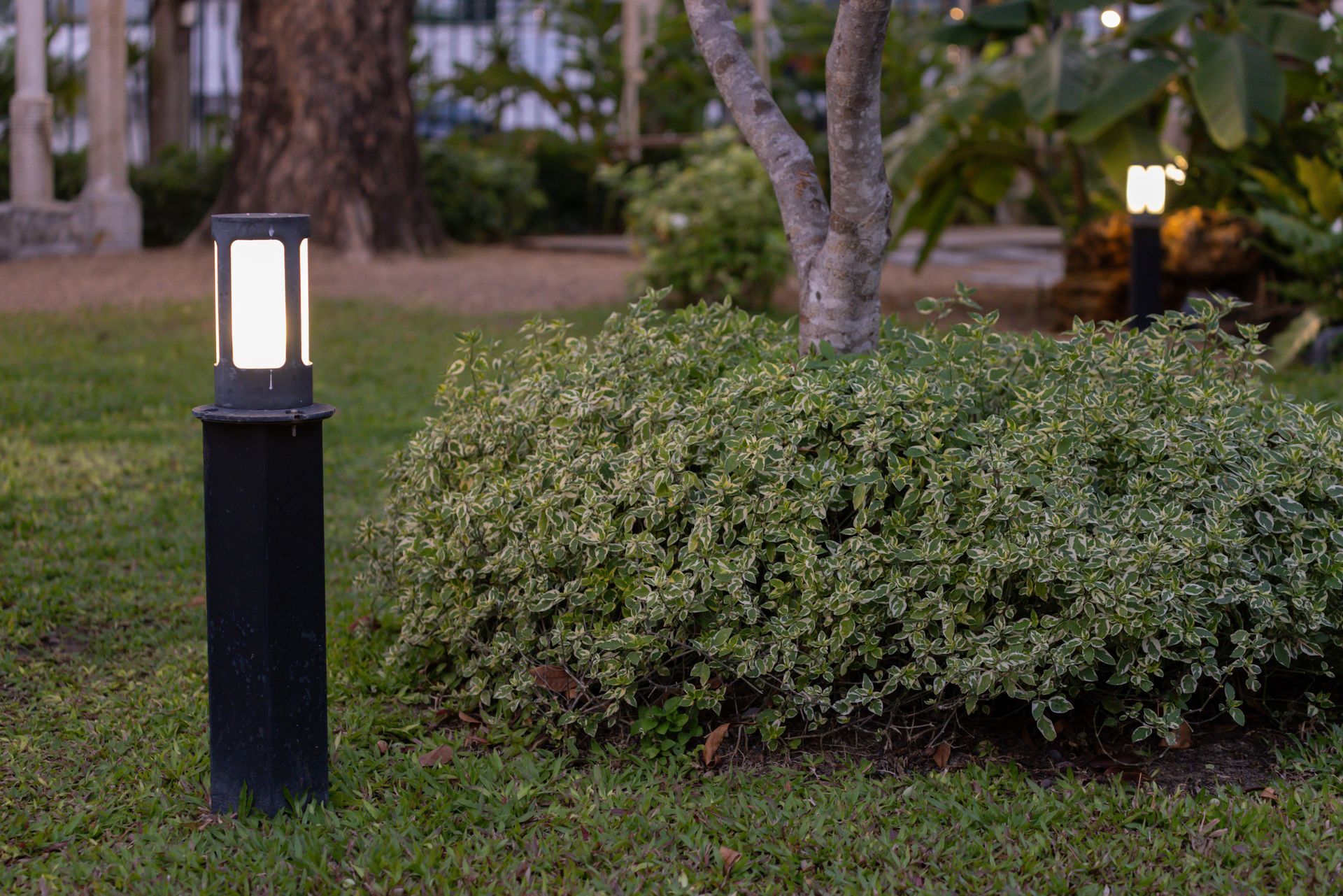 Lit garden path light beside a green shrub in a landscaped yard at dusk