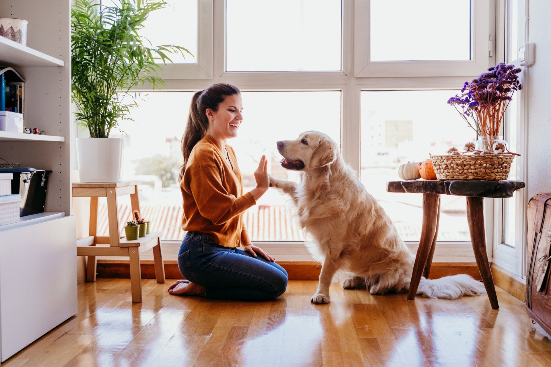 woman and dog