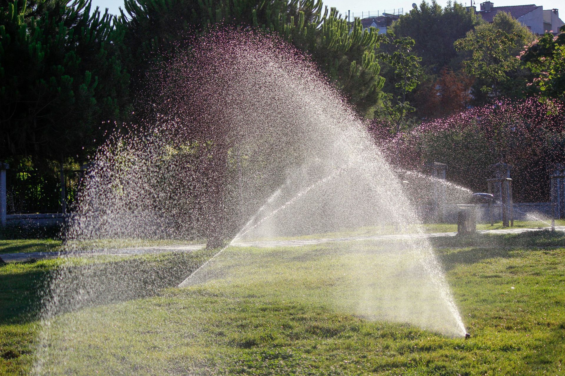 Sprinklers watering a green lawn in a park; water sprays through the air with trees in the background.