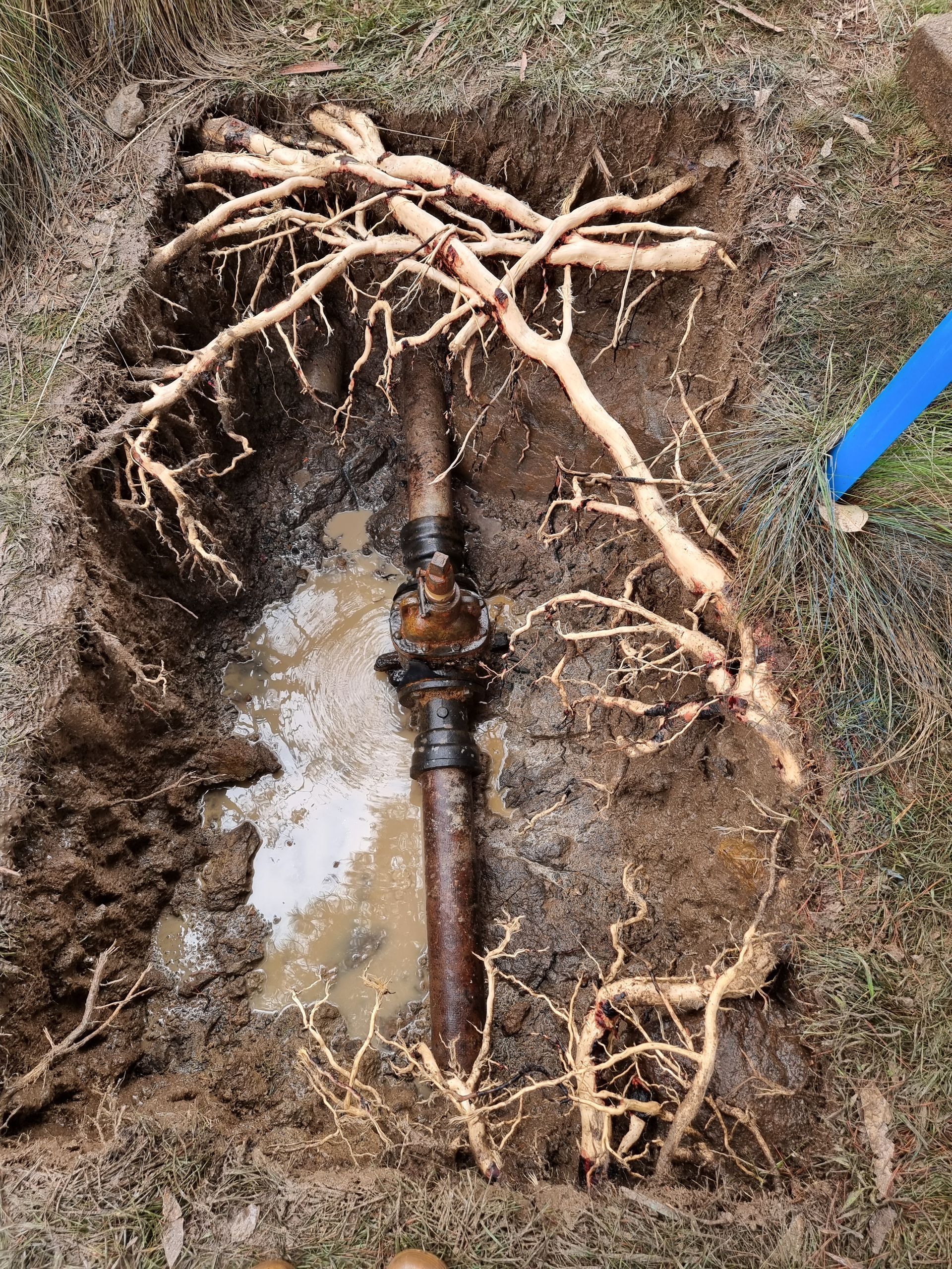 A Pipe surrounded by mud — Pro Pipe Solutions in Queanbeyan, NSW
