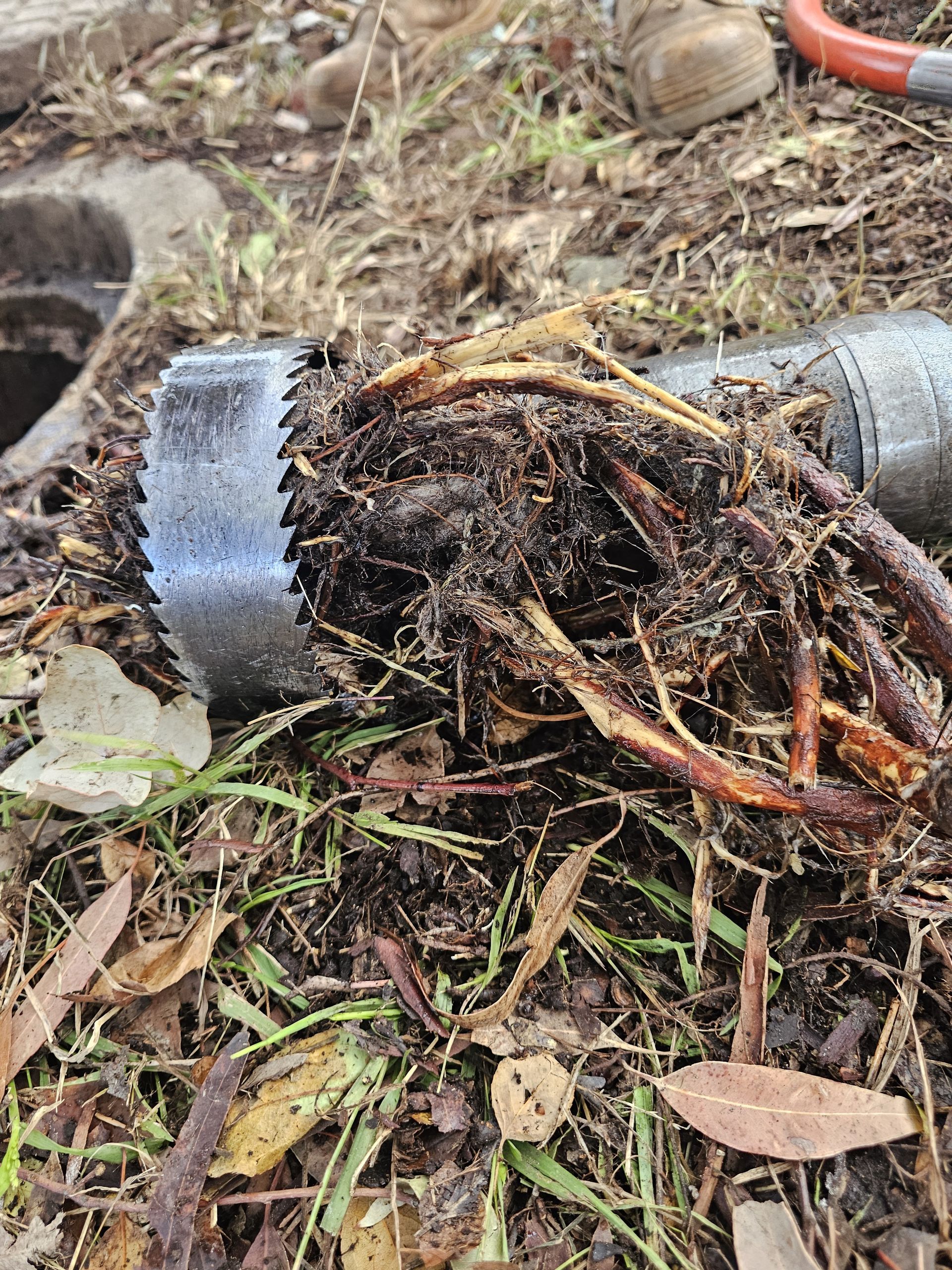 A pipe section blocked by a tangled mass of roots, lying on soil and debris near a sewer access point — Pro Pipe Solutions in Queanbeyan, NSW