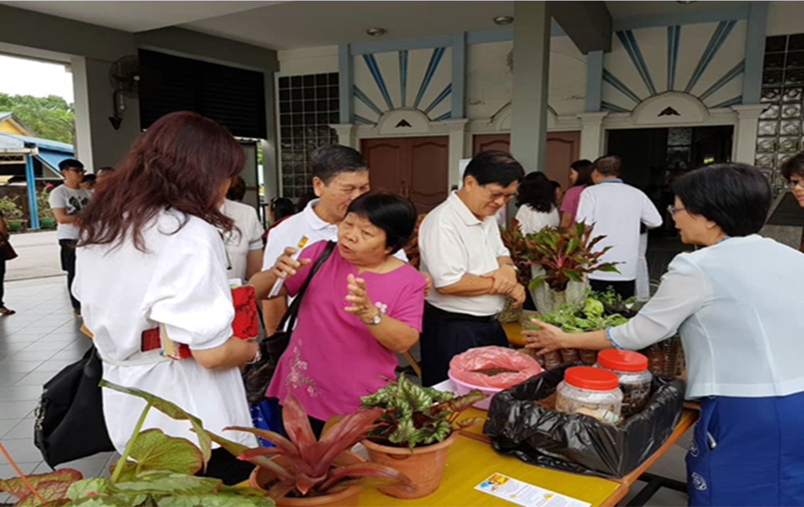 People browsing plants at an outdoor market, interacting with vendors.