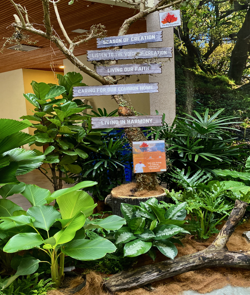 Sign in a garden with wooden planks listing locations; surrounded by lush green plants.