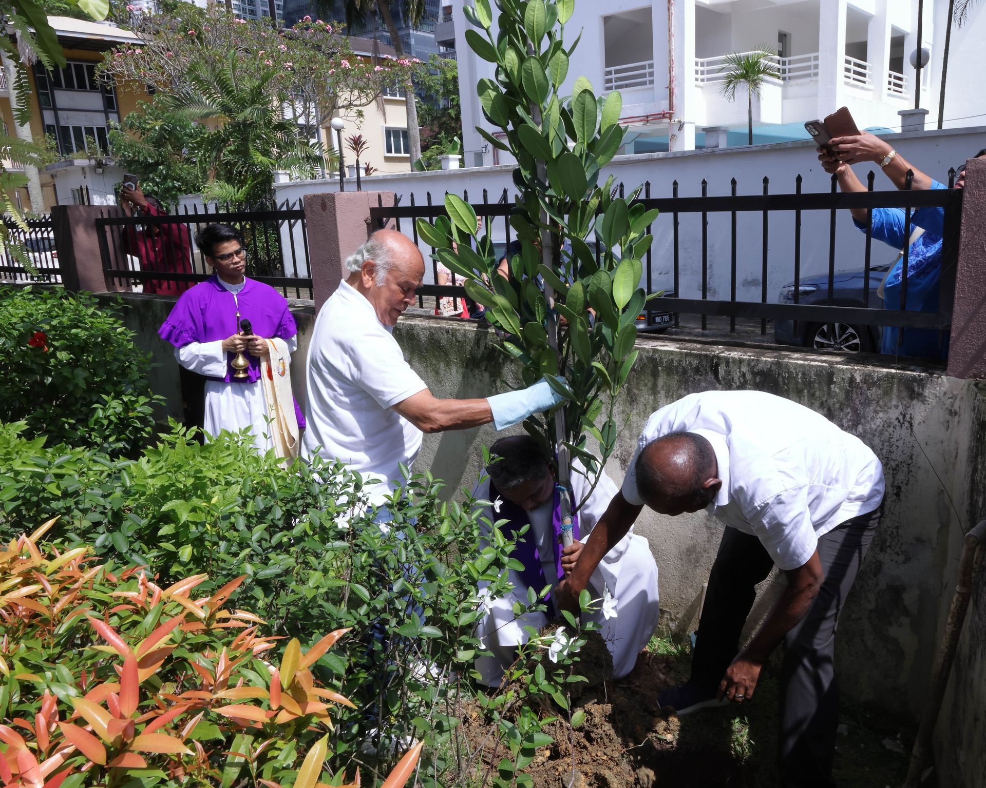 People planting a tree outdoors; one person is digging, another is holding the tree. Other people watch.
