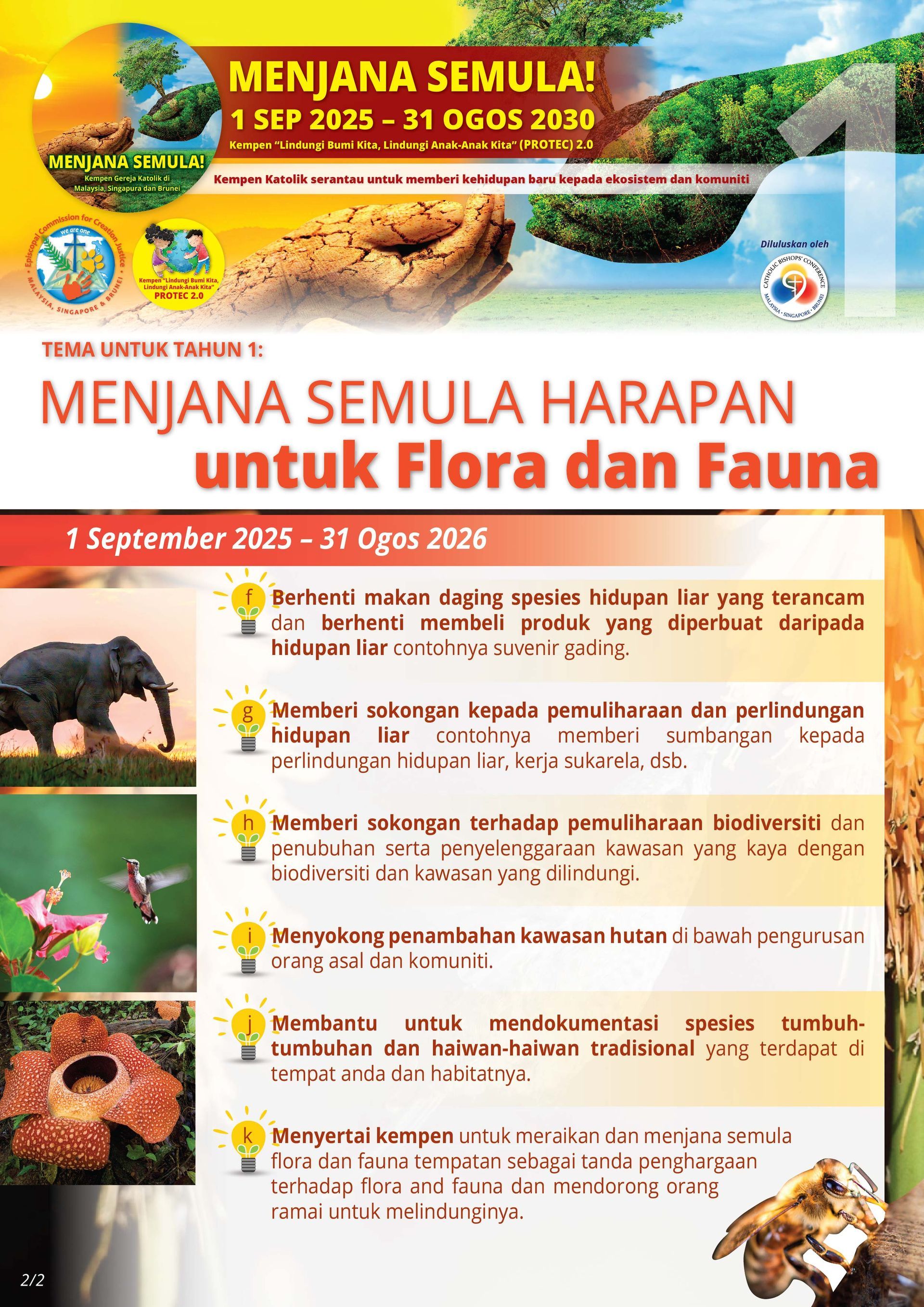 Poster about the