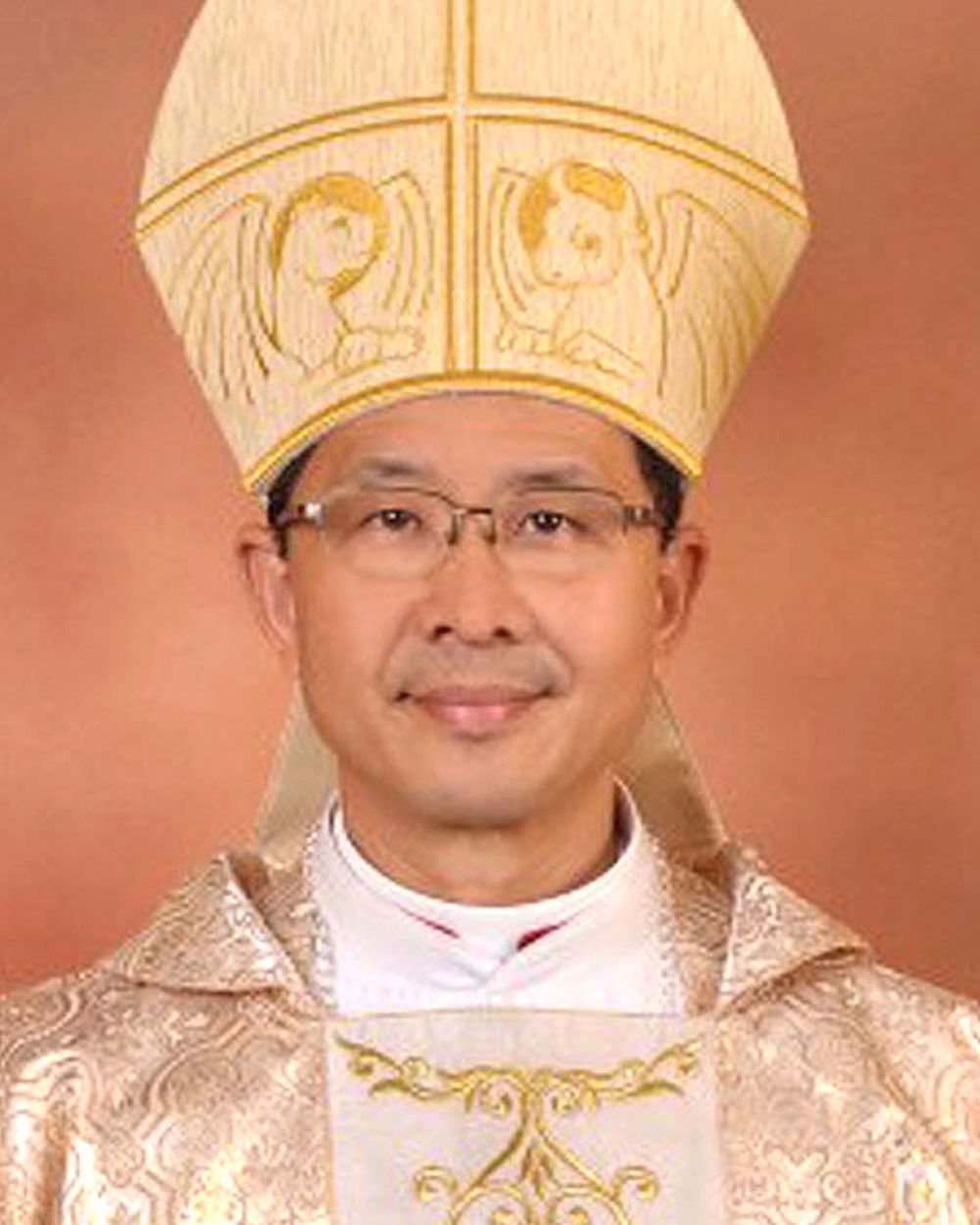 Bishop wearing a mitre and vestments, smiling, neutral expression.