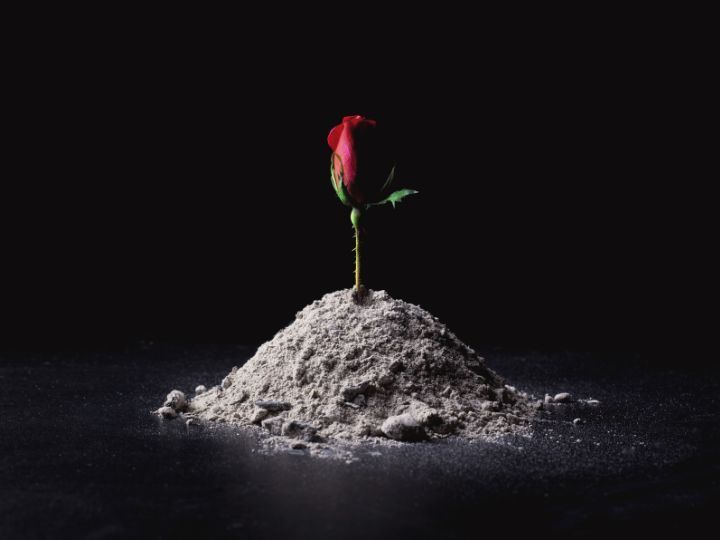 What Families Should Know Before Deciding What to Do With Ashes