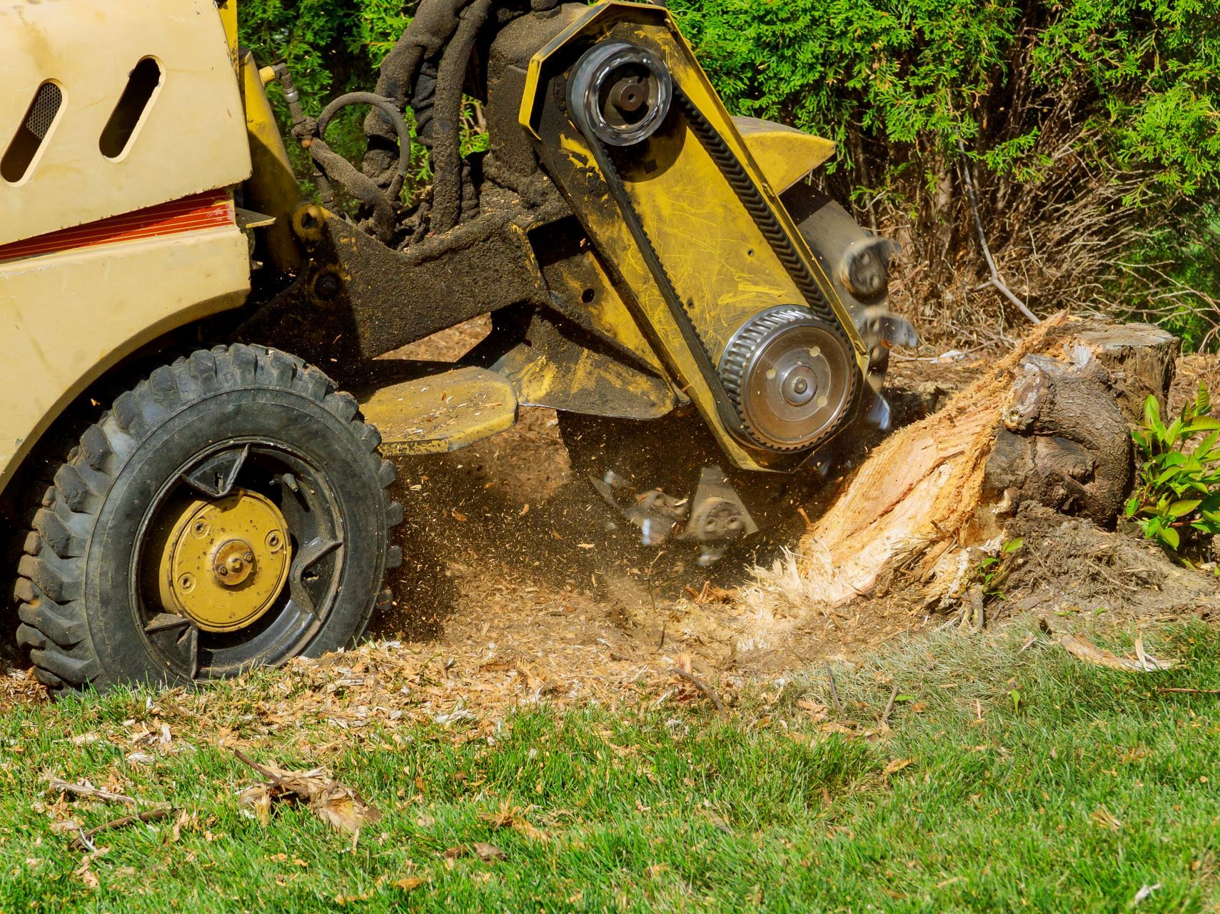 stump grinder