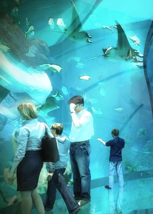 acuario