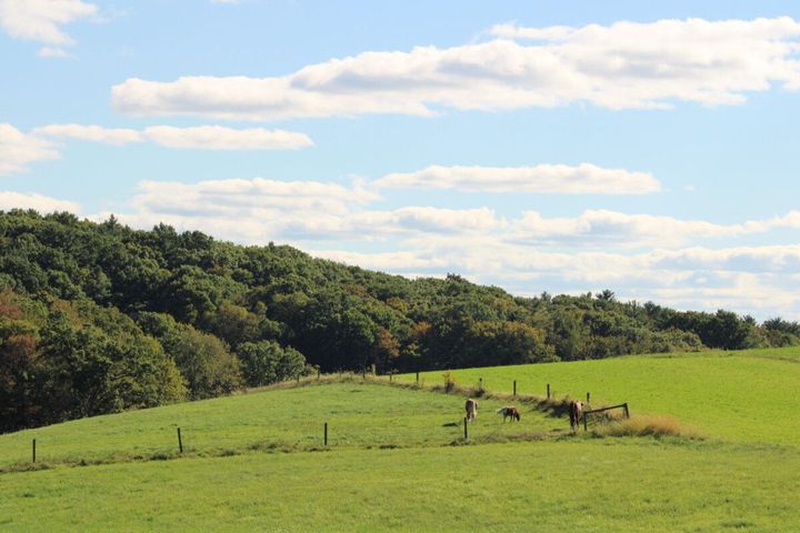 A lush green pasture with a split-rail fence leads to a dense forest under a bright blue sky with scattered clouds.