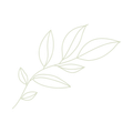 Light green sketched branch with five leaves.