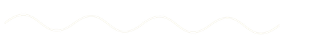 A wavy, cream-colored line against a white background.