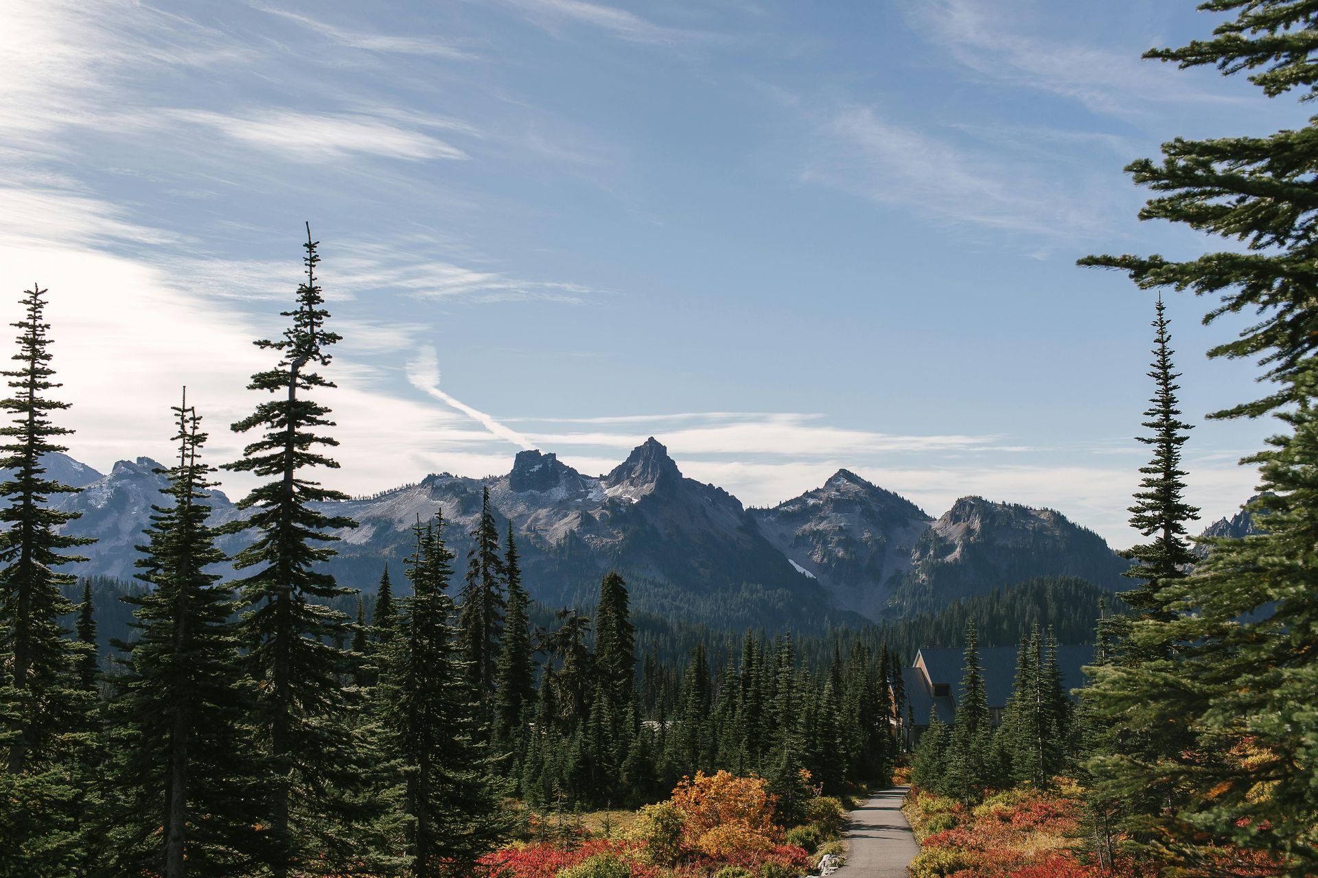 Mountains in the distance, a trail through a forest of evergreens and colorful foliage under a blue sky.