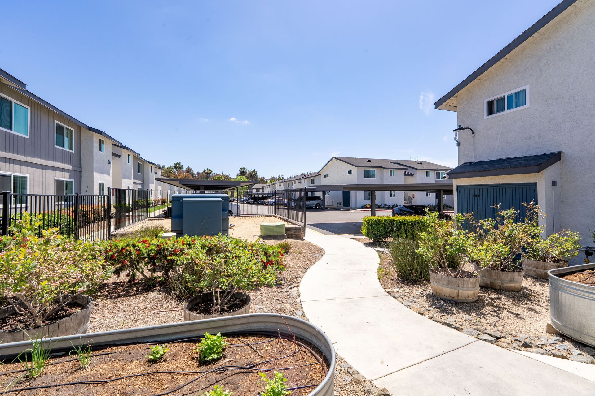 Apartment courtyard with winding concrete path, low shrubs, and modern townhomes under a clear blue sky