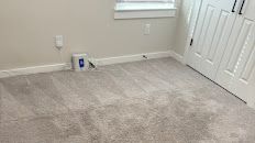 Empty beige bedroom with carpet, white closet doors, and a small can near the wall under a window.