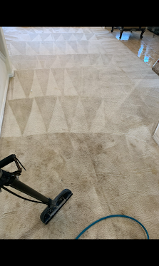 Vacuum cleaner on beige carpet with visible cleaning pattern and a blue hose at the bottom.