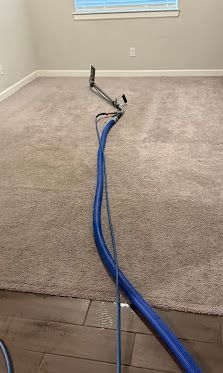 Blue hoses and cleaning equipment extending across a carpeted room toward a window.