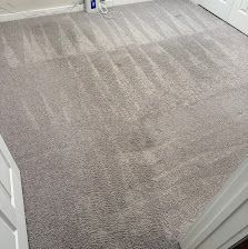Empty carpeted room with light gray walls and white doors, viewed from the doorway