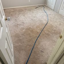 Empty beige carpeted room with a blue cable stretched across the floor and a door in the corner