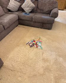 Living room carpet with a small pile of scattered candy or wrappers near a gray sofa